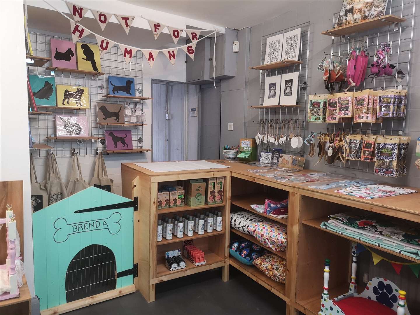 Pet boutique Not for Humans set to open in Folkestone