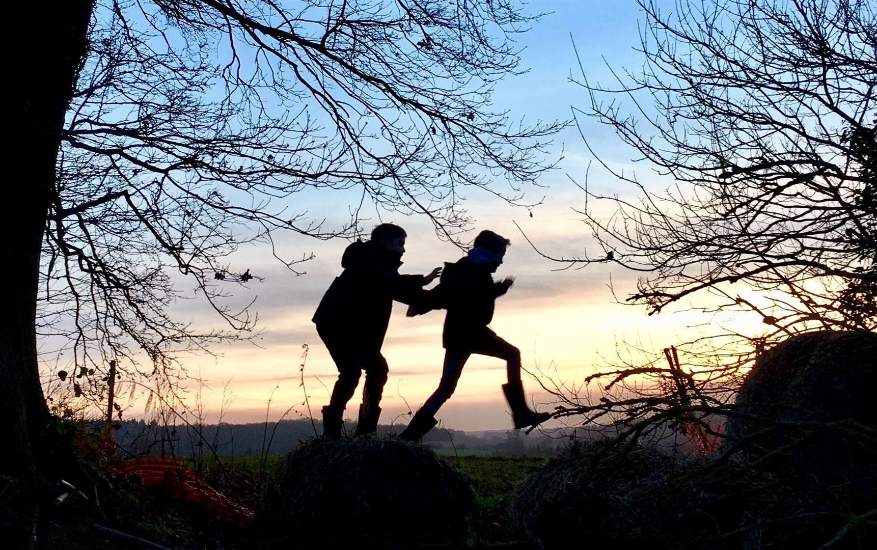 Victoria Harding took this eyecatching picture of her two boys playing in woods at Shepherd's Hill, Selling in January