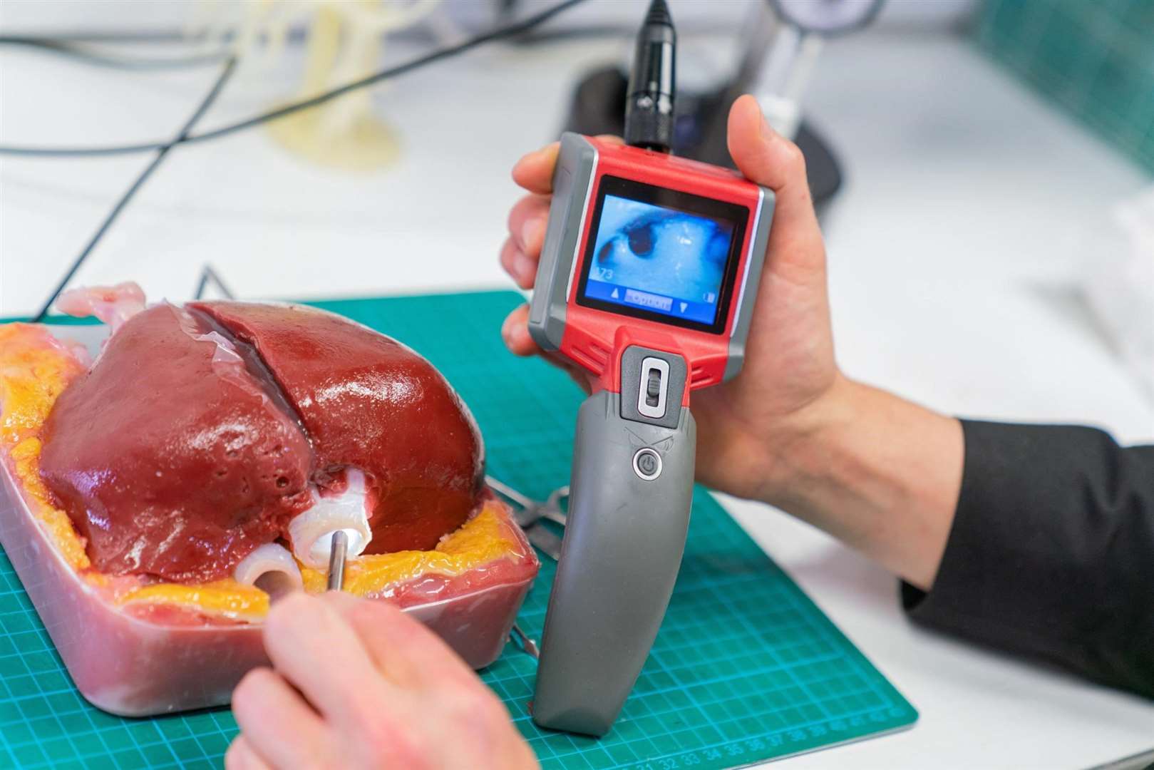 Prototype 3D-printed liver model (Nottingham Trent University/PA)