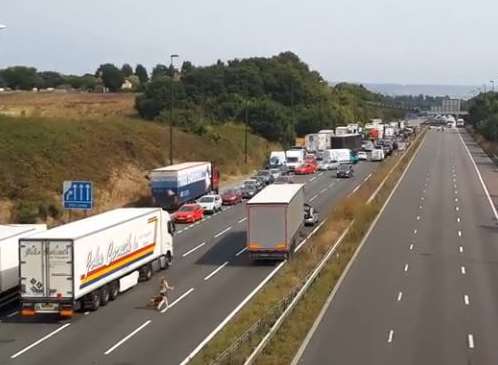 A woman walks two dogs on the M20 as traffic is turned around