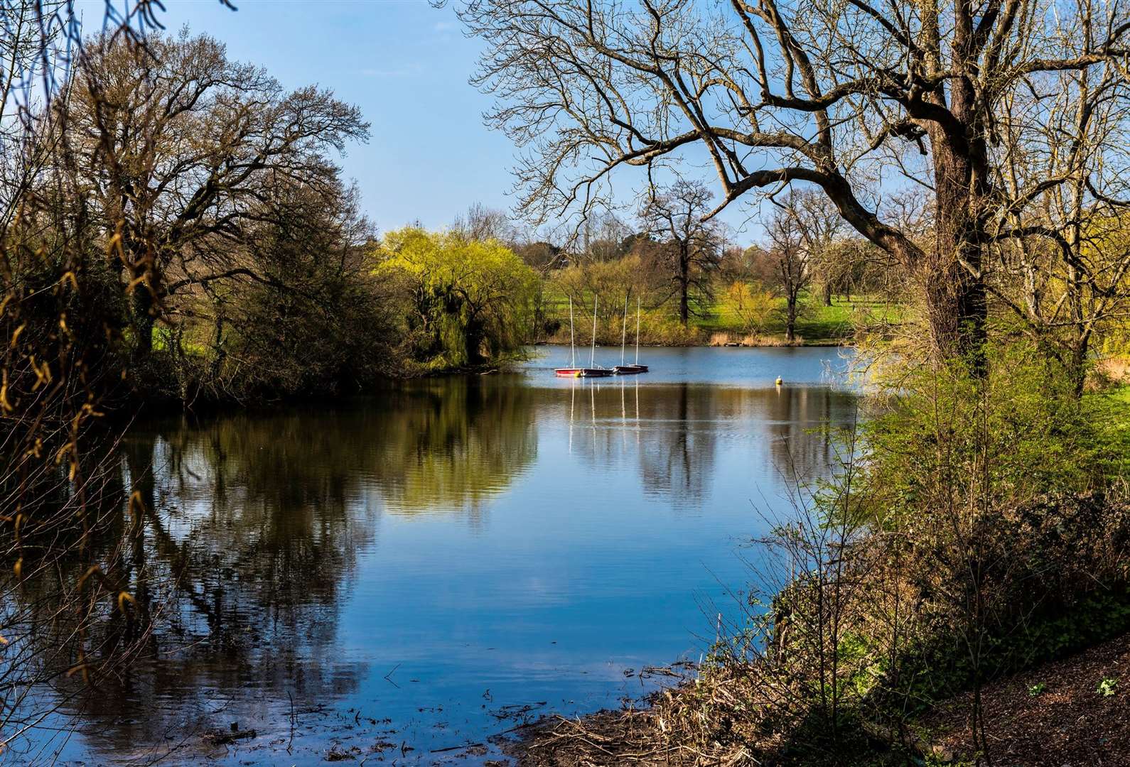 The piece has been painted near the boating lake in Mote Park