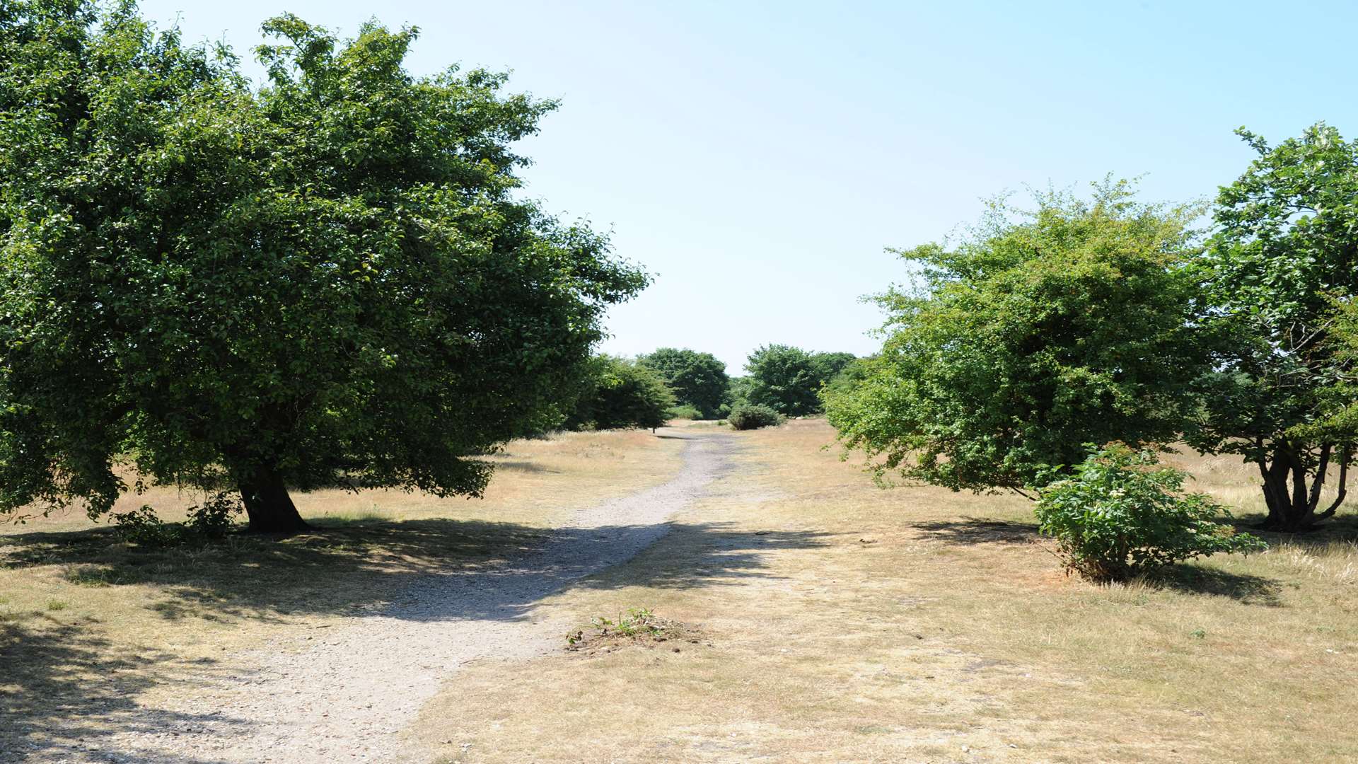 Dartford Heath.