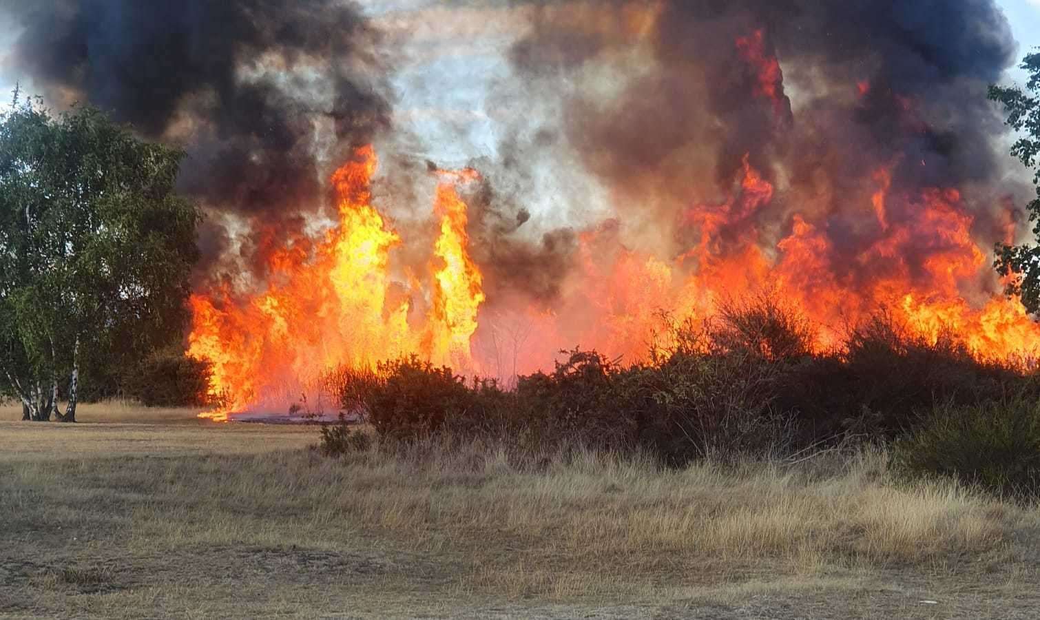 Police believe 13 blazes in Dartford Heath, were started suspiciously. Picture: Gay Melrose