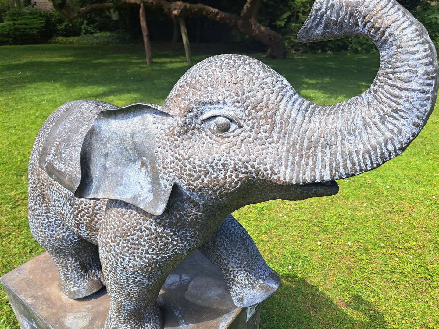 The Palace Elephant in Maidstone