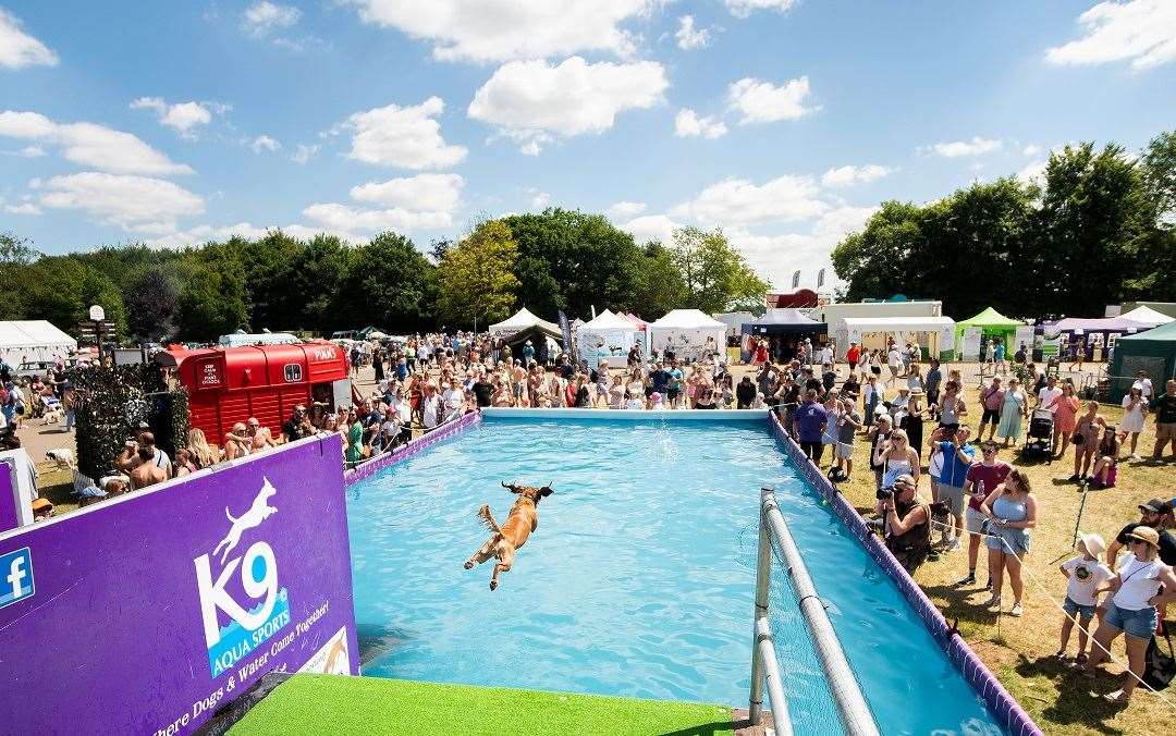 Your dog can make a splash at the K9 Aqua Sports pool. Picture: Kent County Agricultural Society
