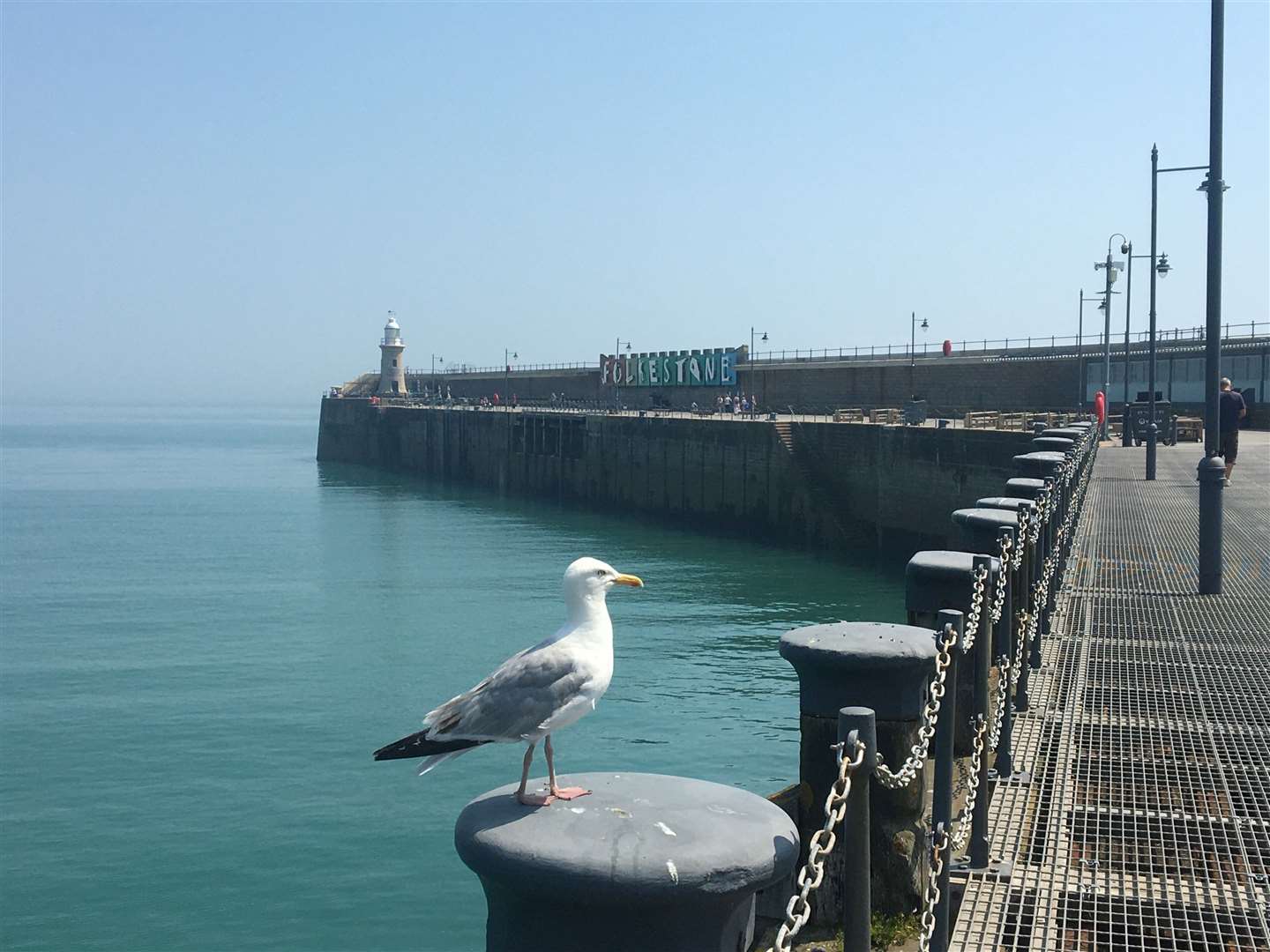 Folkestone Harbour Arm