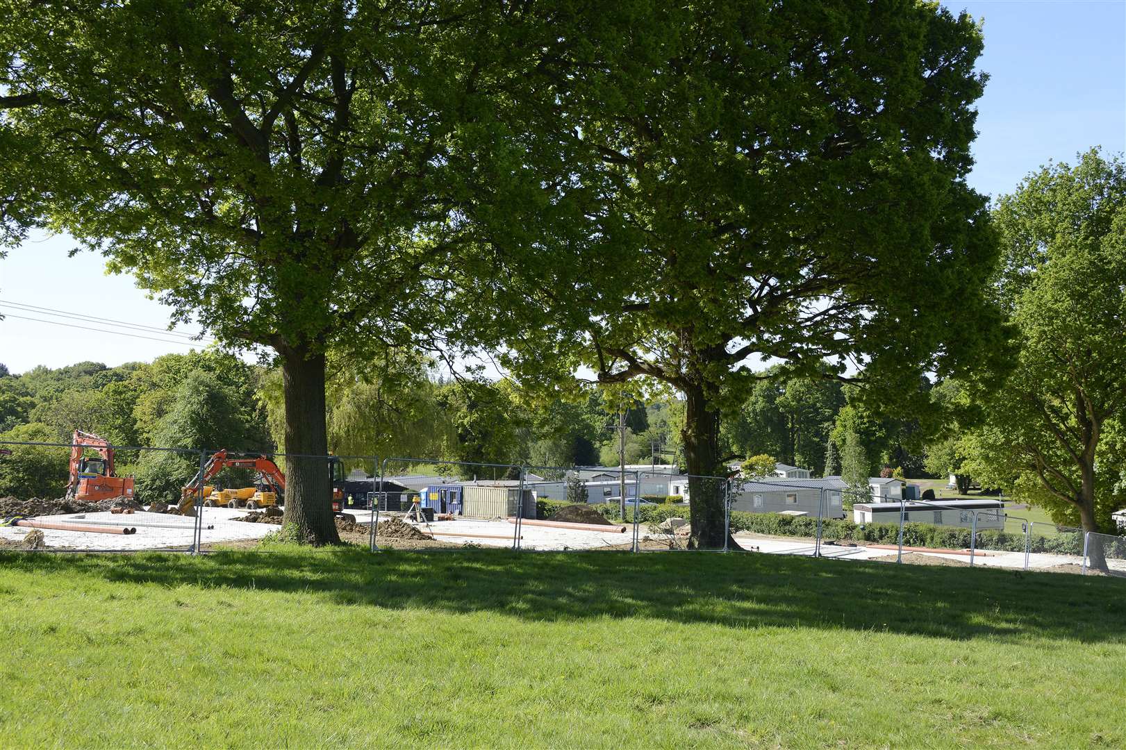 The hedgerow spanned the area between the two trees where there is now temporary fencing