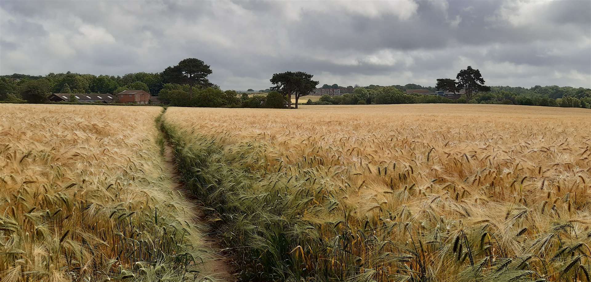 The site sits between Sandyhurst Lane and Trinity Road