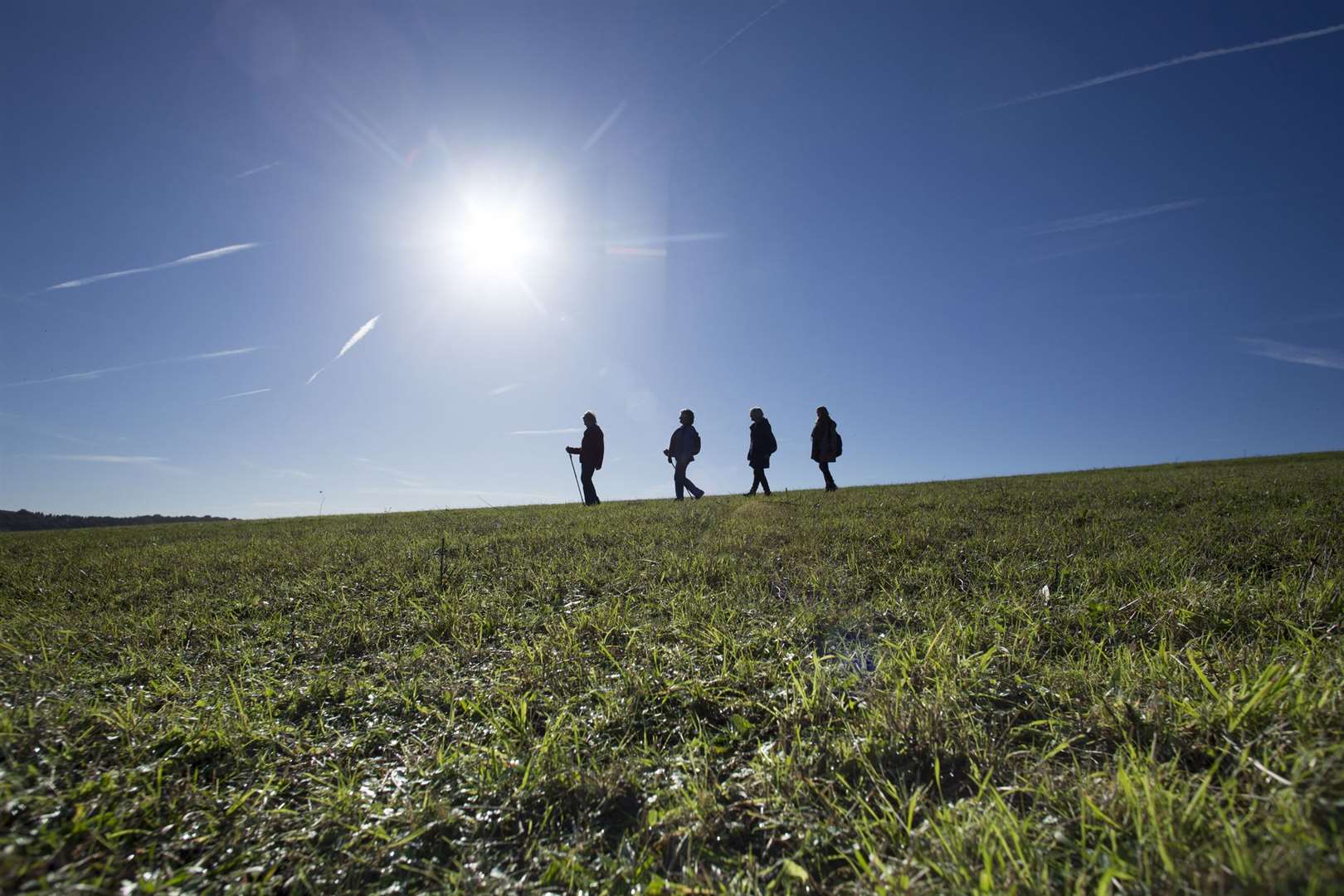 Lullingstone Country Park in Eynsford, Sevenoaks