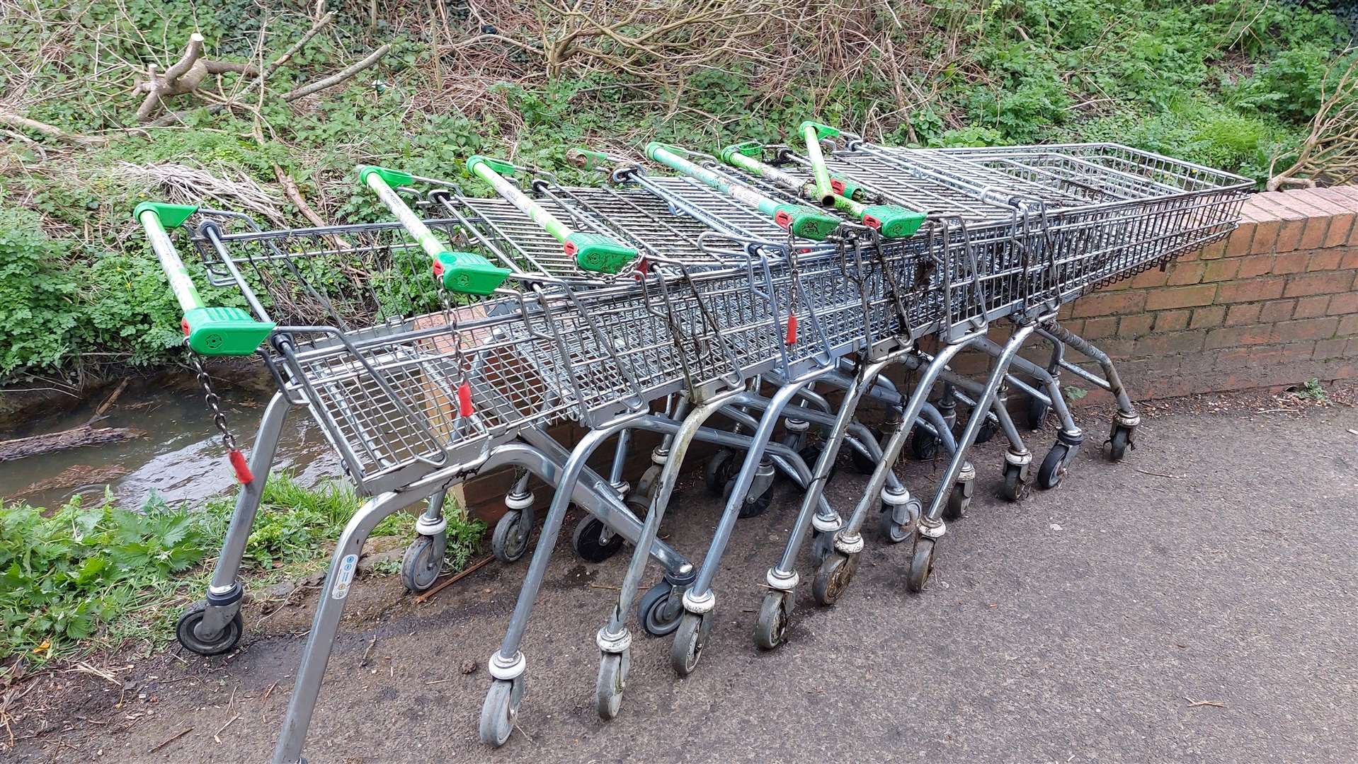 The South Willesborough litter pickers clean up the river Stour once a month. They pull out up to 15 Asda shopping trollies each time