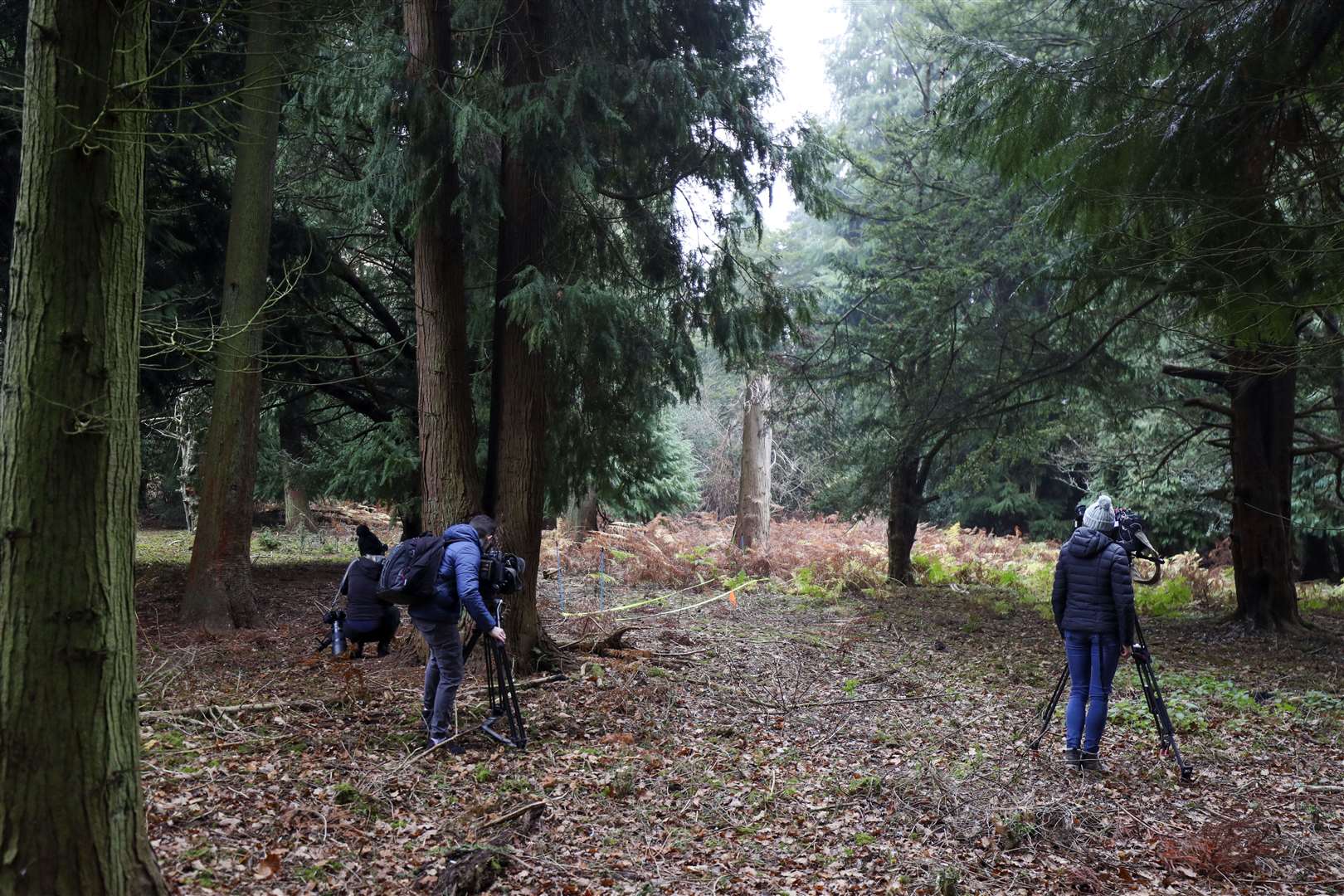 Yellow tape representing a fallen tree trunk and an orange flag marking the spot in woodland where police found Louise’s body (PA)