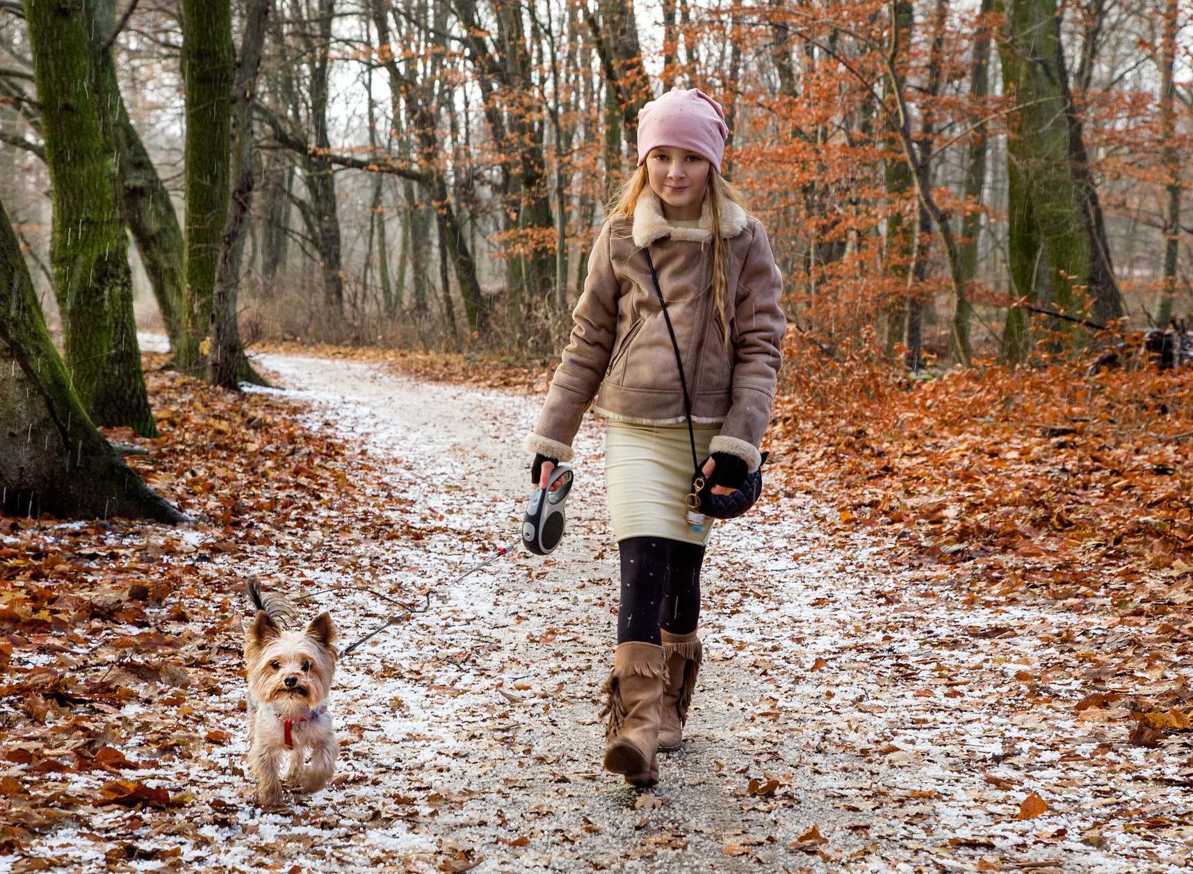 Take the dog on a family walk