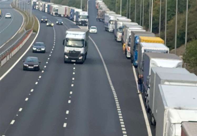 Lorries stretch back as far as the eye can see, prompting long waits to get to the port