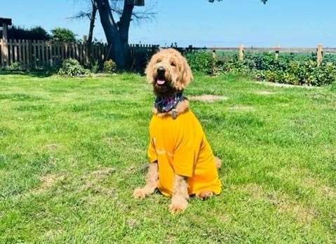 Martha models her East Kent Hospitals Charity t-shirt