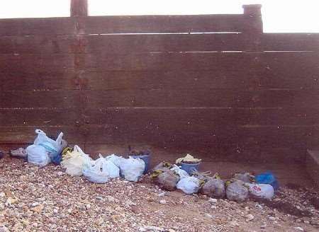 The haul of oysters illegally harvested from beds belonging to the Whitstable Oyster Fishery Company