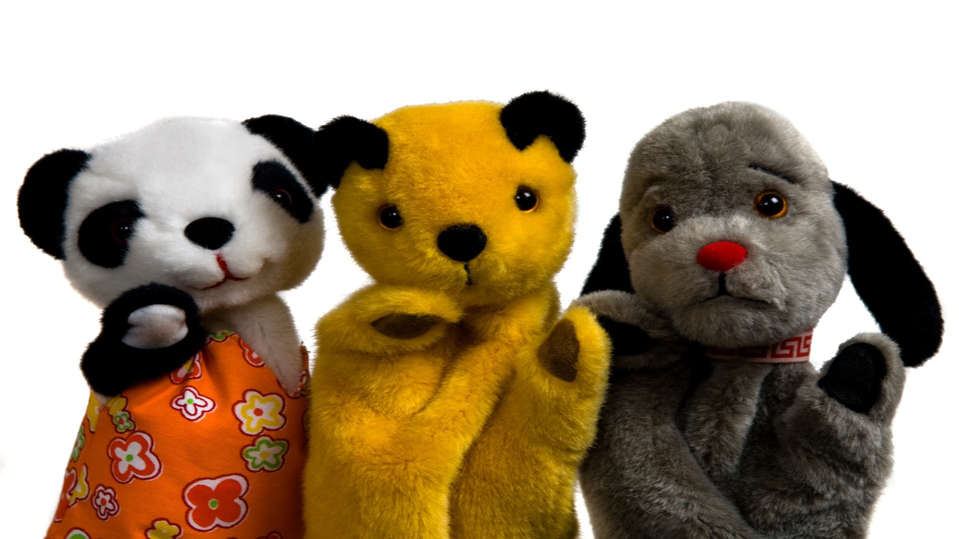 Sooty will be at Kent Life