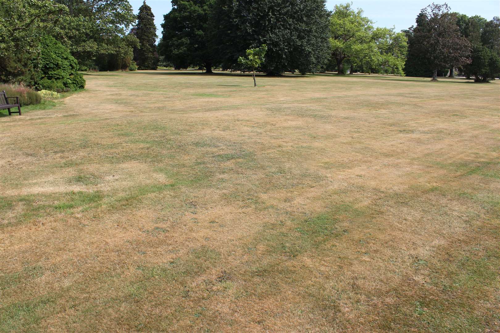 Many areas in England currently look dry and parched with lack of a rainfall