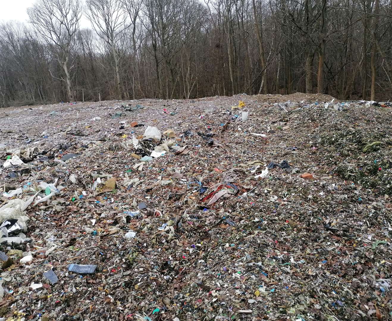 Rubbish is piled 12ft high across part of Hoad’s Wood, near Ashford