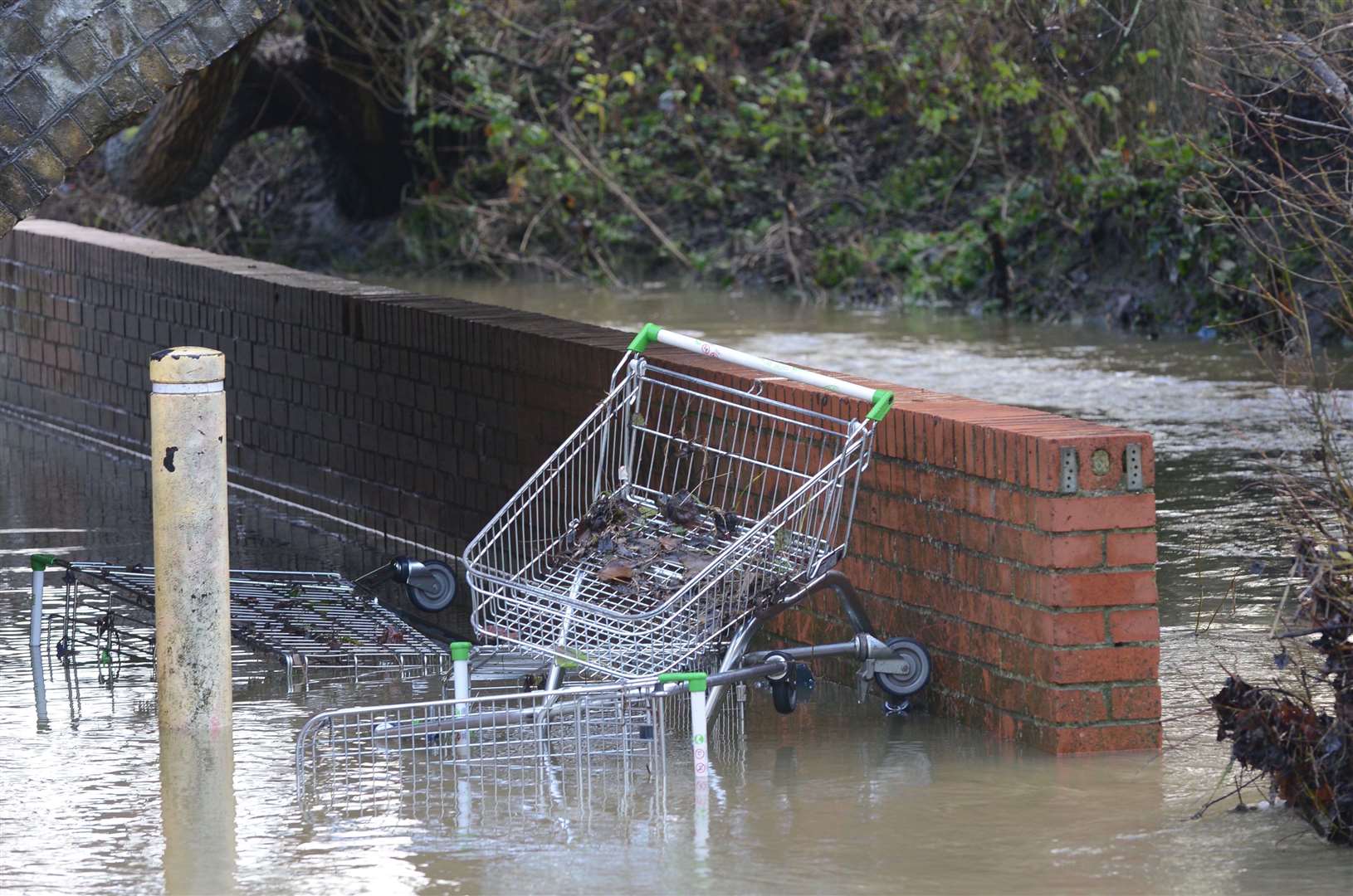 In 2016, trolleys were used as a bridge by pedestrians