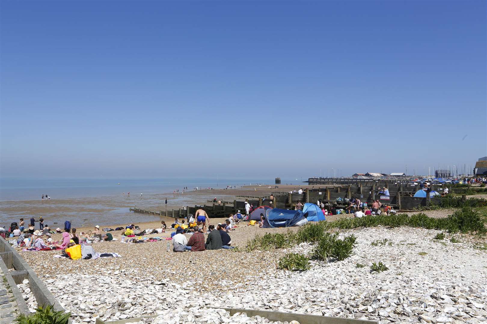 Whitstable Beach.Picture: Andy Jones (1869151)