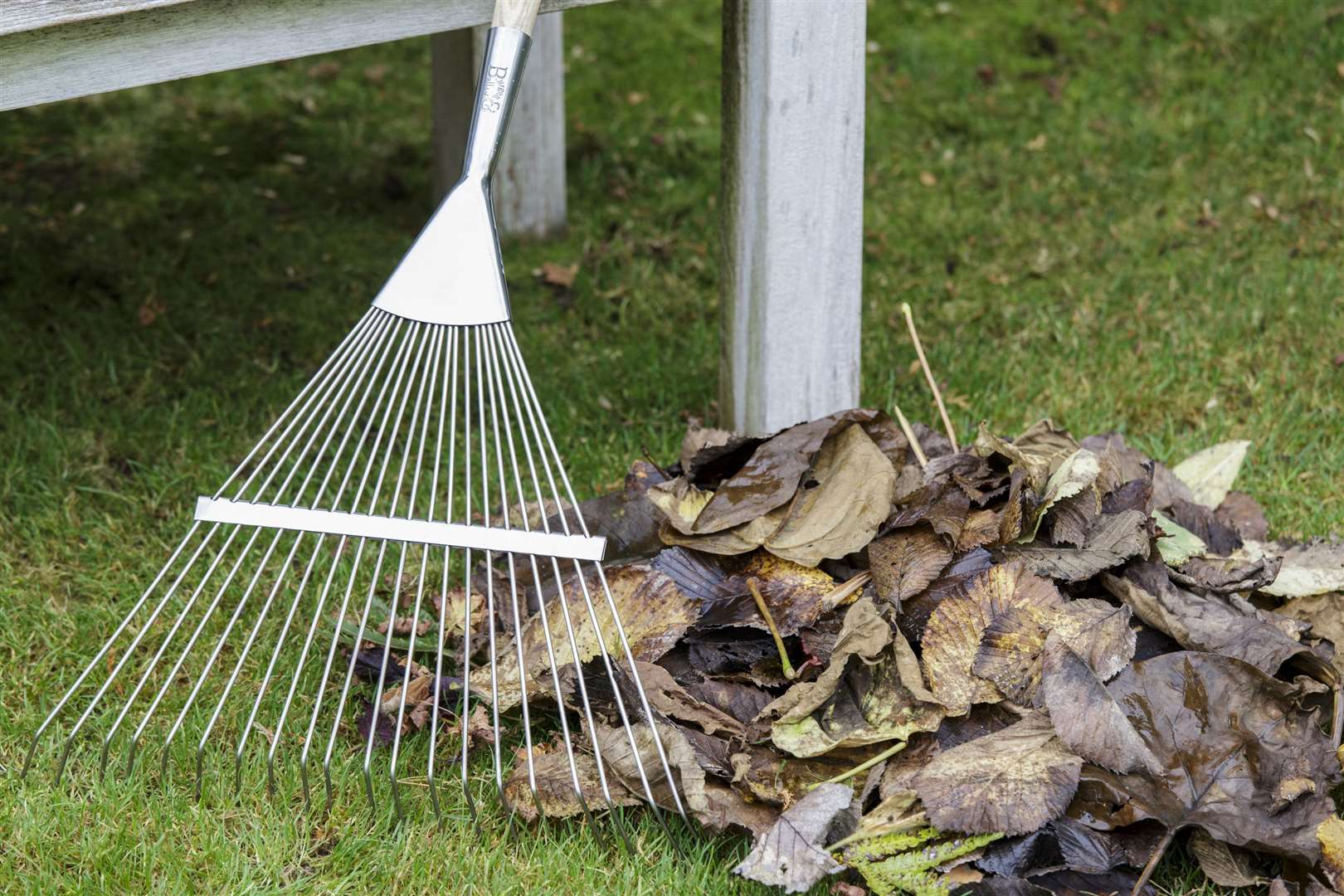 Make sure your rake has a strong, long handle