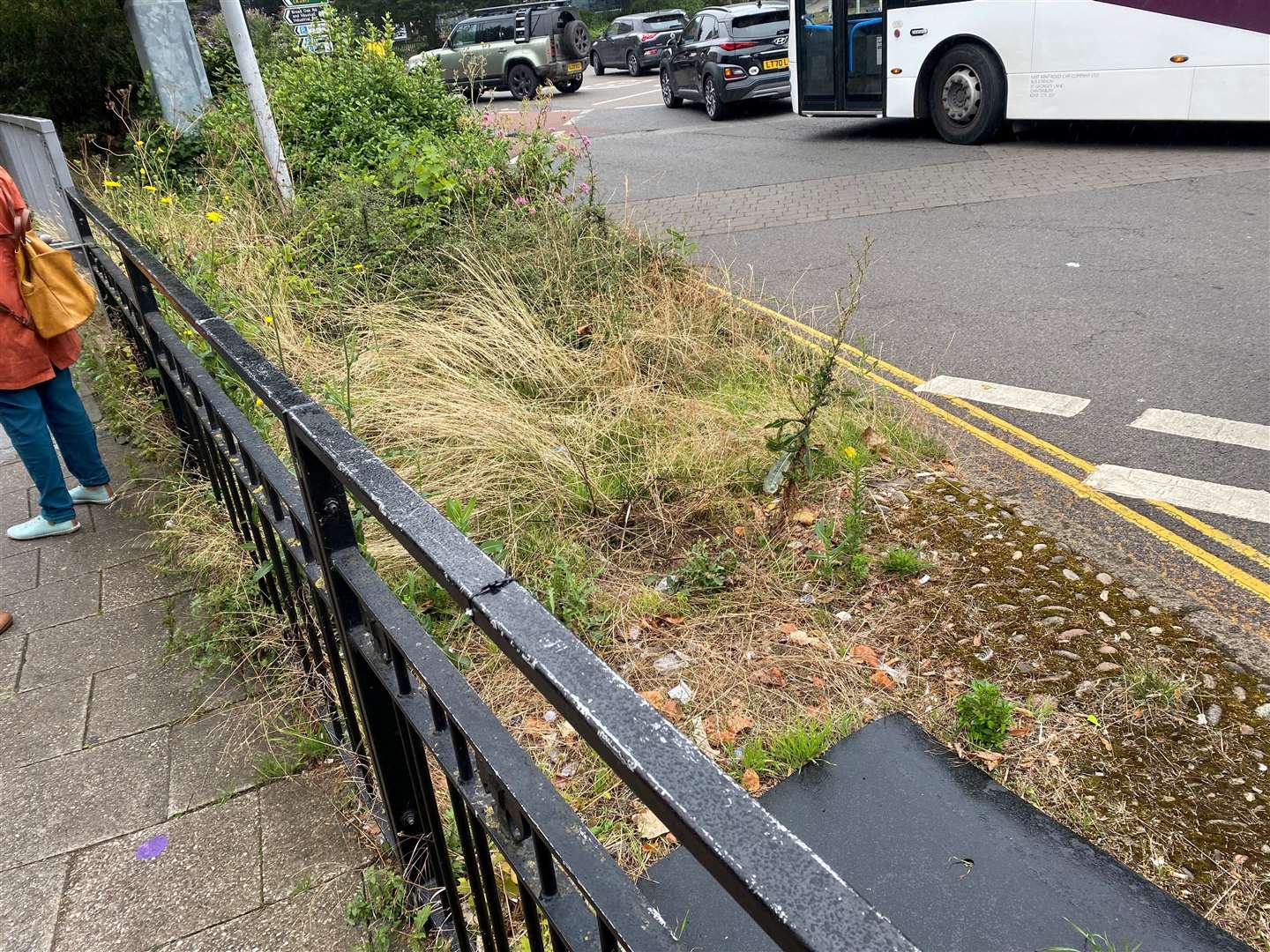 Overgrowing and unkempt verges are another issue according to residents