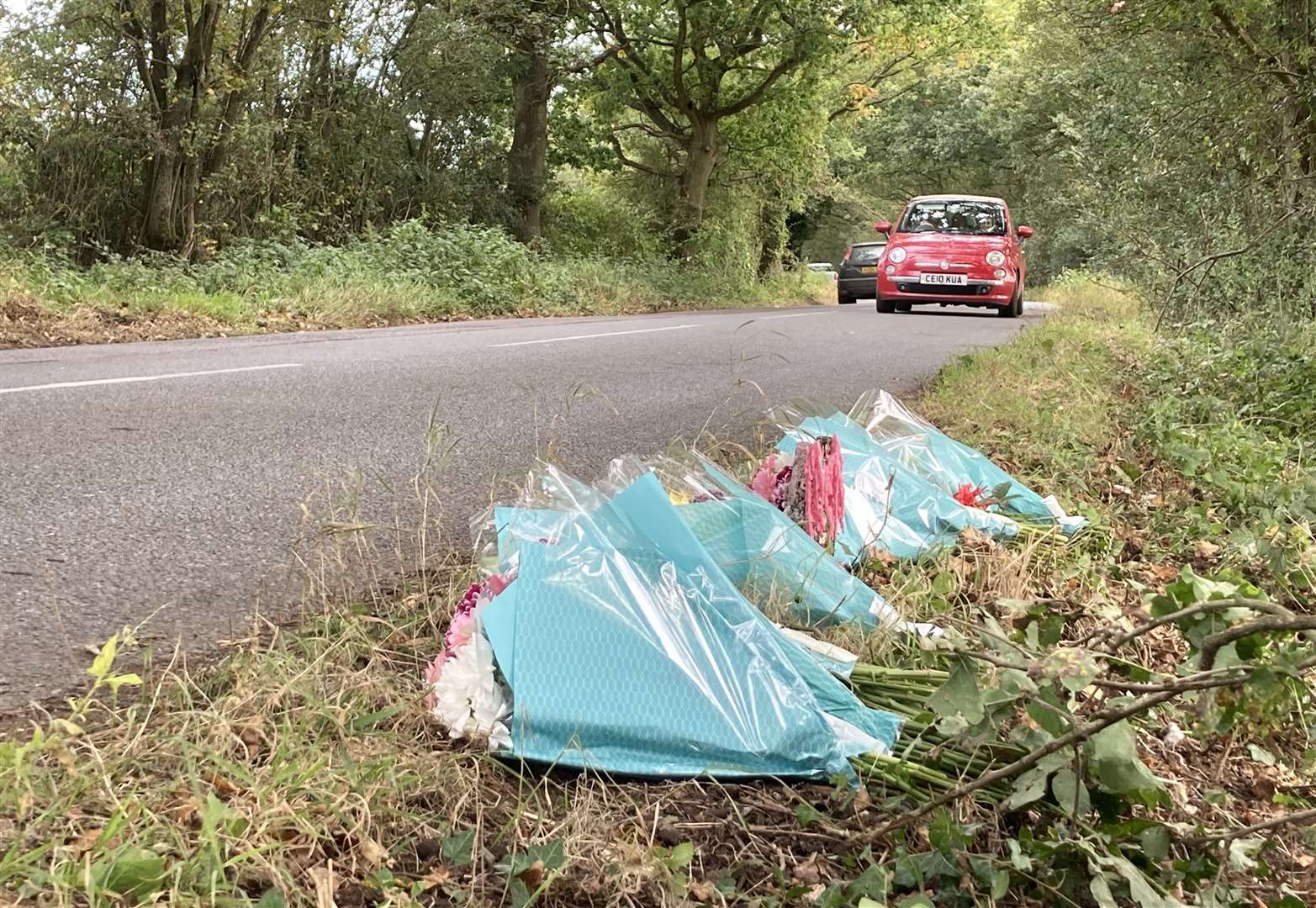 The site of the fatal crash in Lenham Road last October