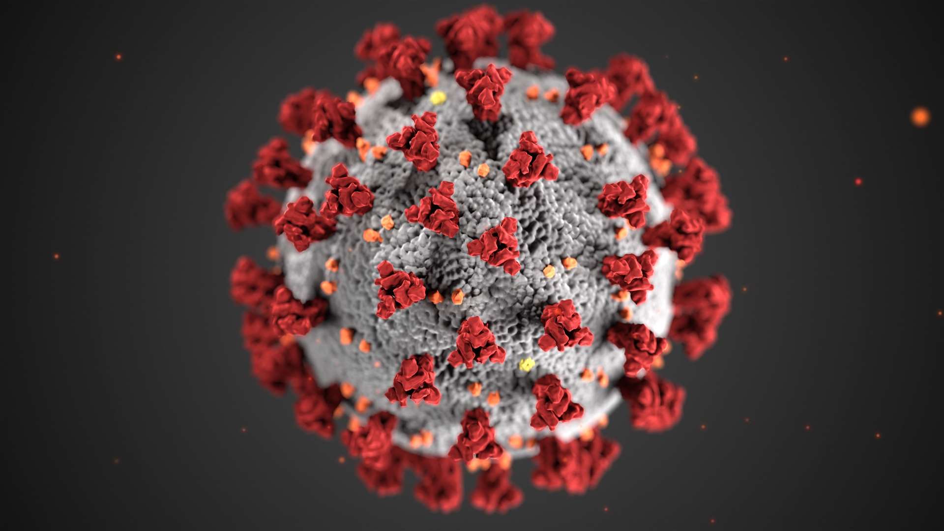Covid-19 virus (36921857)