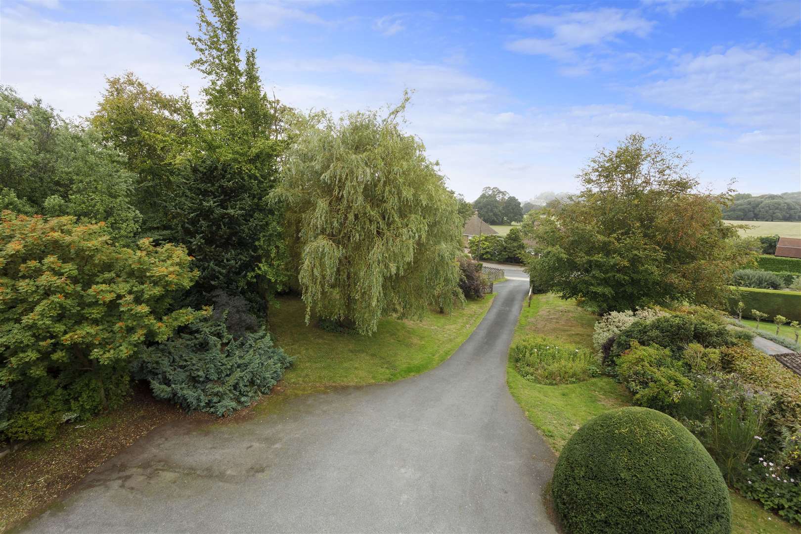 Looking out onto Sandling Road. Picture: Colebrook Sturrock