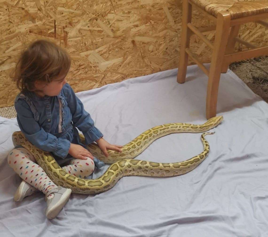 Amanda Richardson’s granddaughter, Skylar, with one of the snakes (Amanda Richardson/PA)