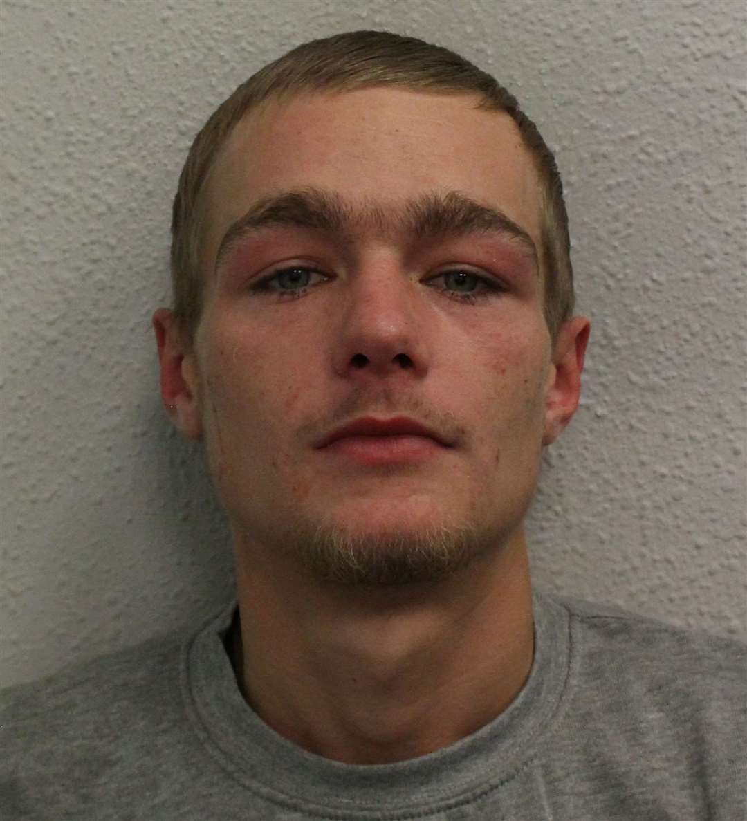 Liam Byron has been jailed for two years and 28 days Photo: Met Police