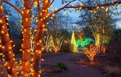 How the illumination trail at Cobtree Manor might look this December