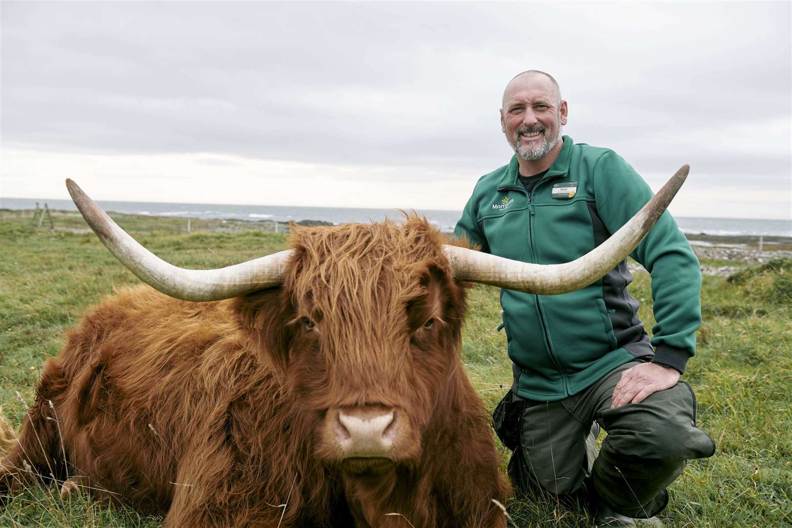 It is hoped feeding the animals a seaweed based feed supplement could reduce the amount of methane they release