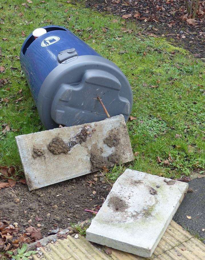 The bin near the bridge