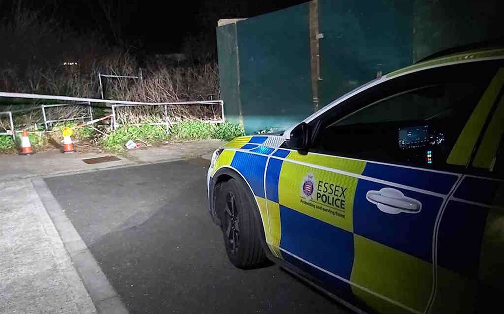 Man arrested after woman killed in dog attack