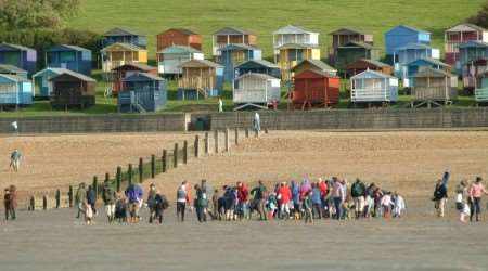 Beach combing at Tankerton Beach which has been given a clean bill of health