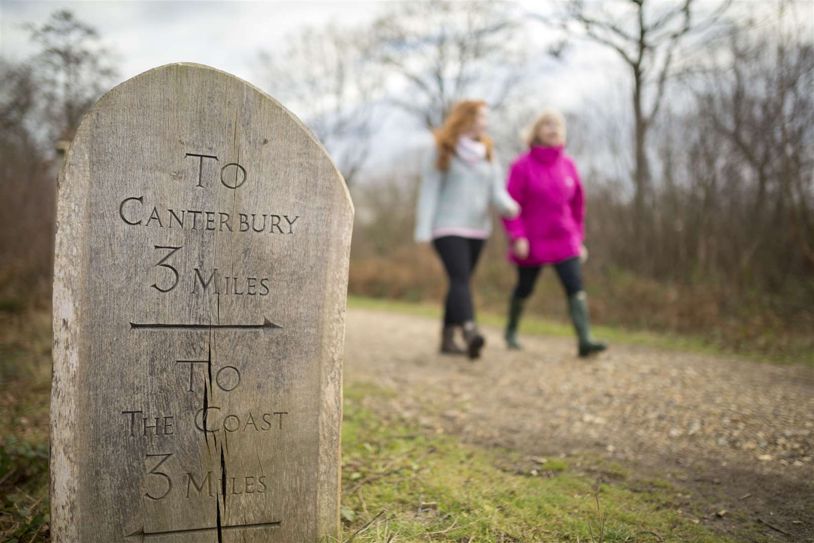 There's plenty of support across the county for improving your mental and physical health and your wellbeing