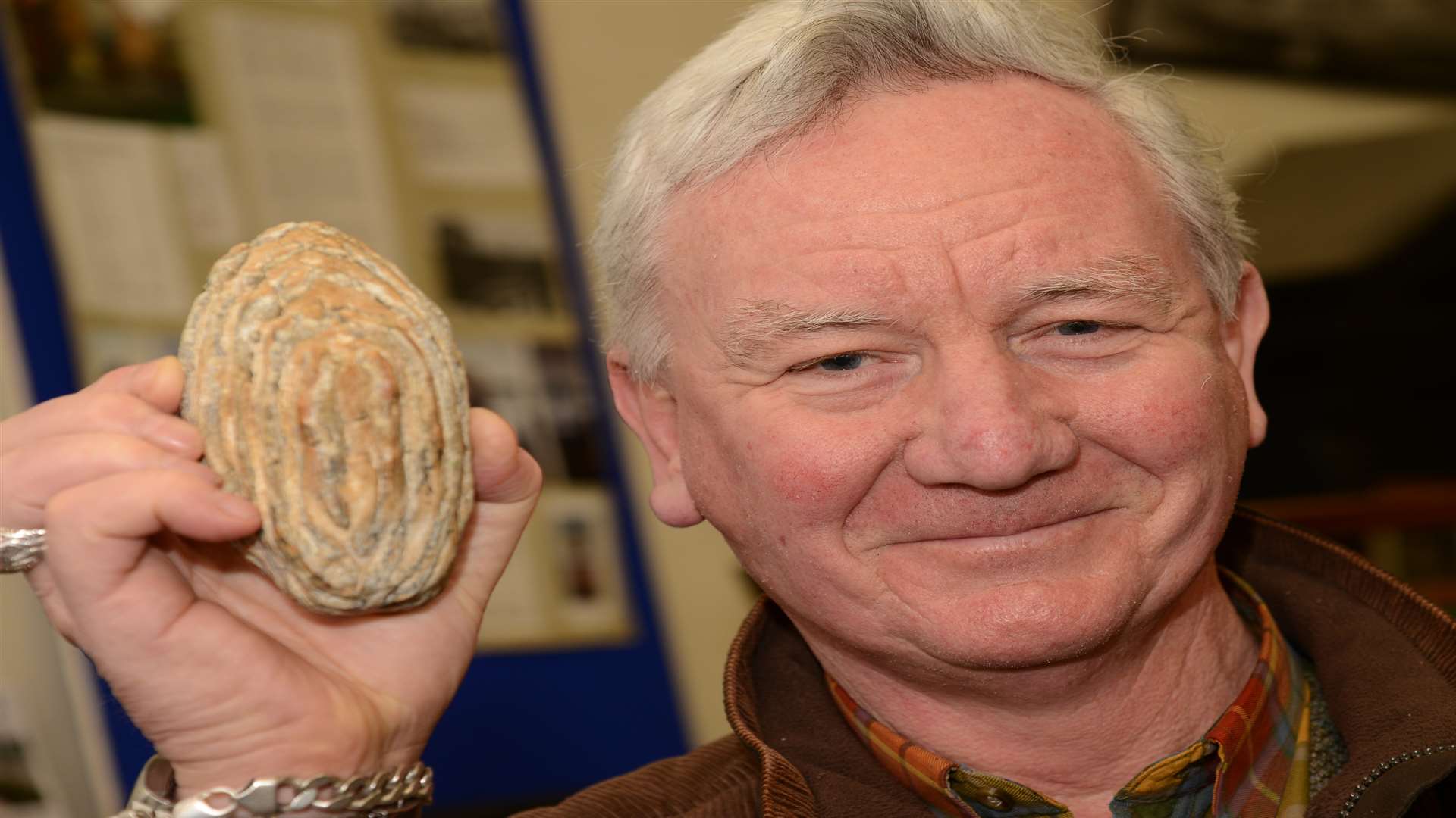 Curator of Ashford Museum, Ian Sharp with a mammoth tooth. Picture: Gary Browne