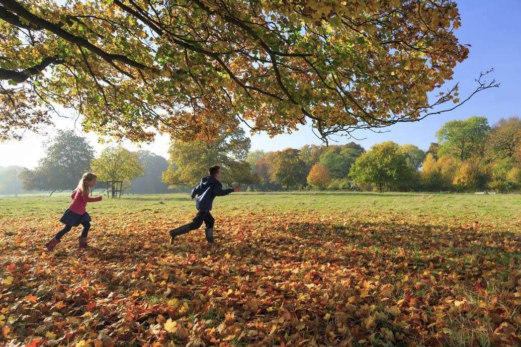 The National Trust has free passes available. Image: National Trust/John Miller.