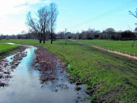 marshland at seaton