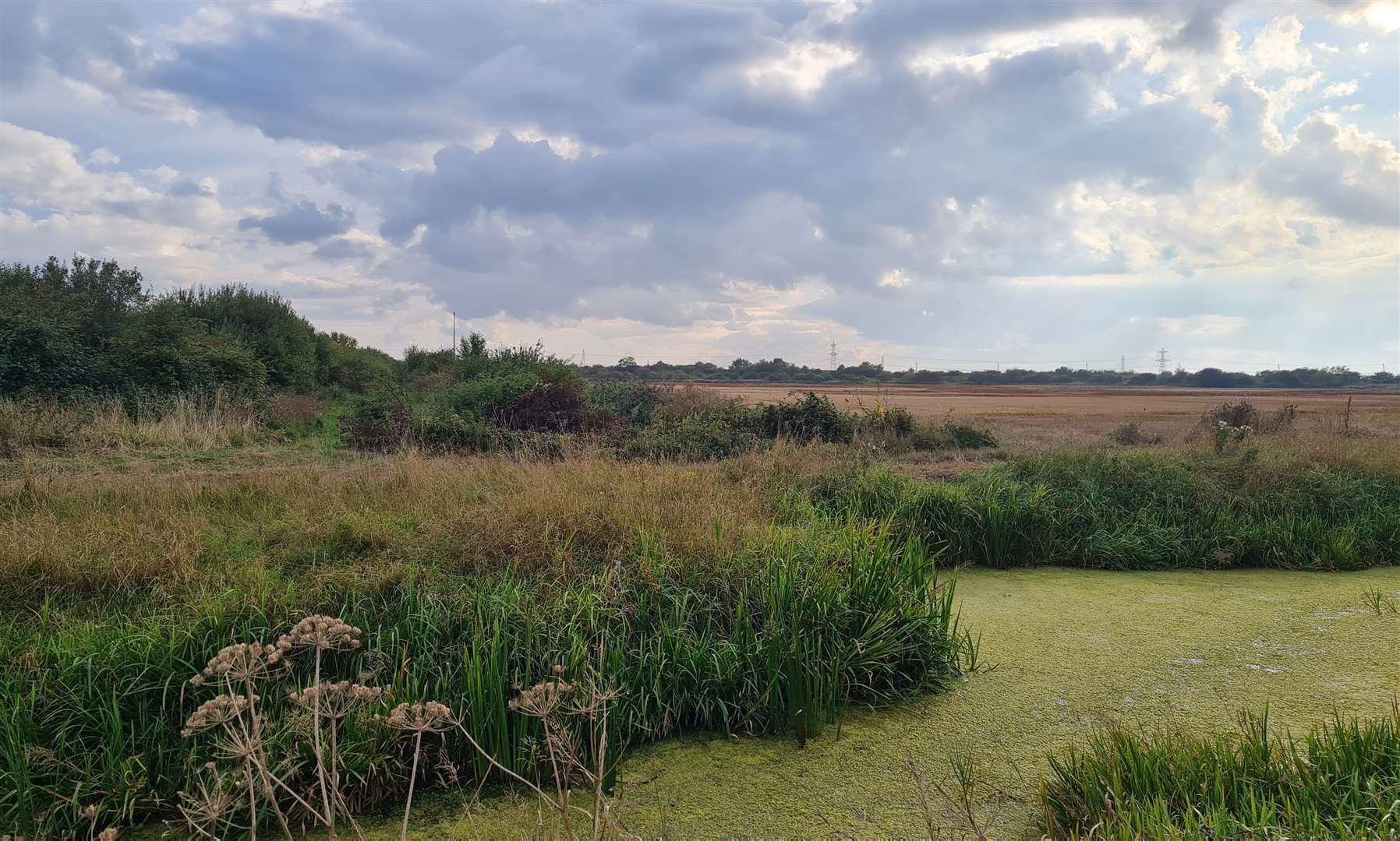 The project would run through Pegwell Bay to Minster Marshes in the Stour Valley