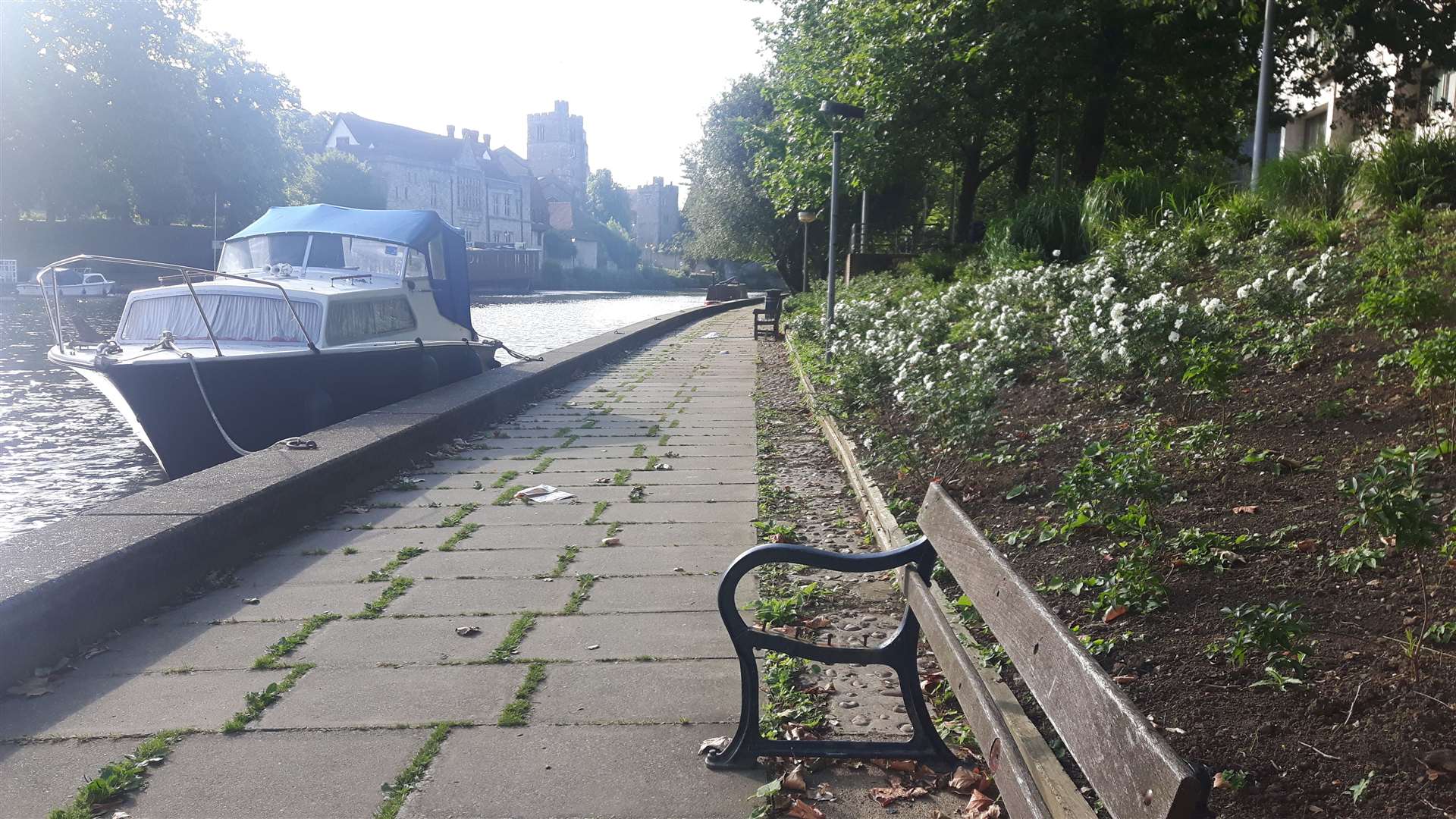 The Maidstone river pathway is currently in a neglected state (14526517)