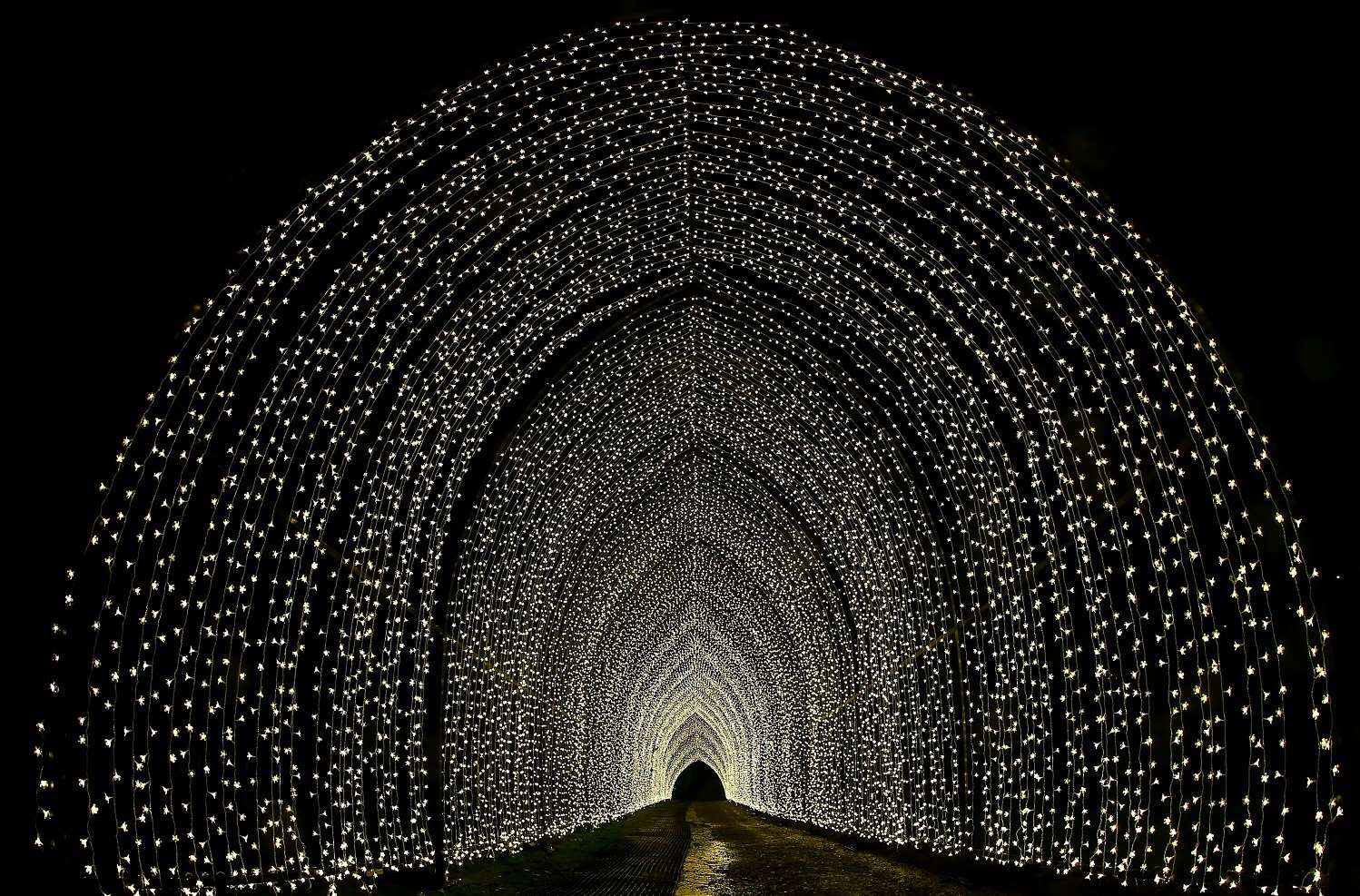 The Tunnel of Light at Christmas at Bedgebury Picture: Matt Bristow