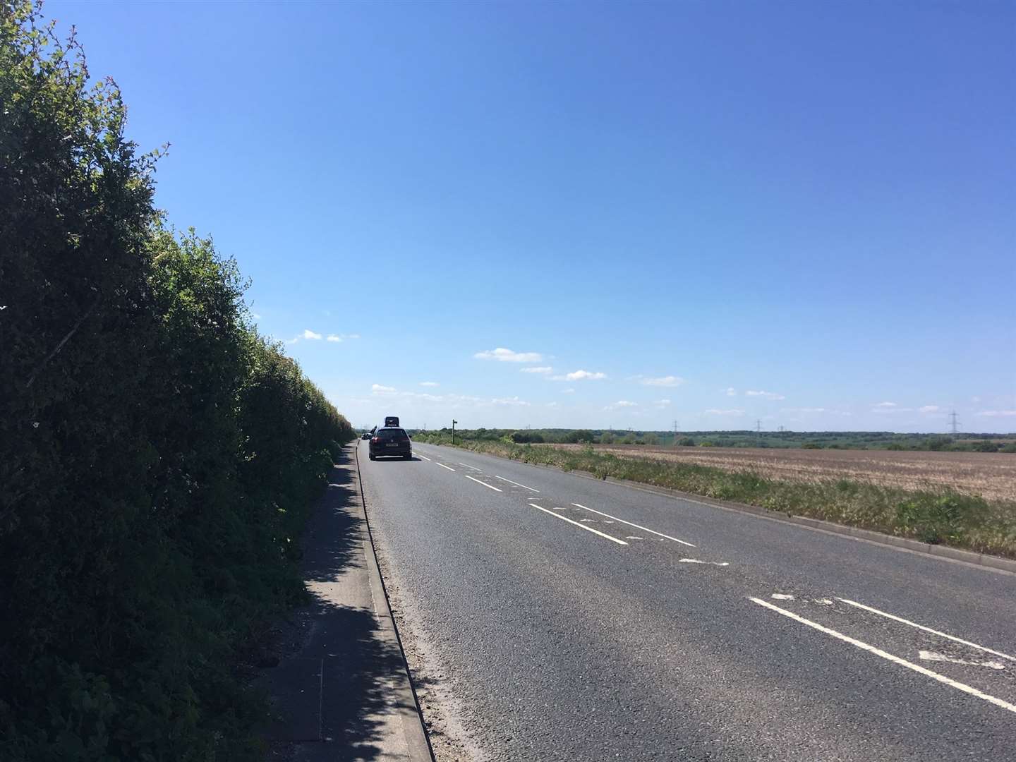 Hundreds of toxic caterpillars have been found along Island Road