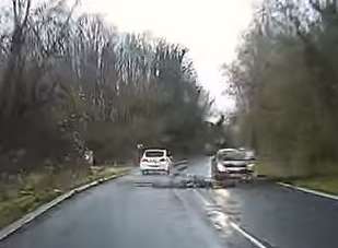 The tree struck a car as it fell