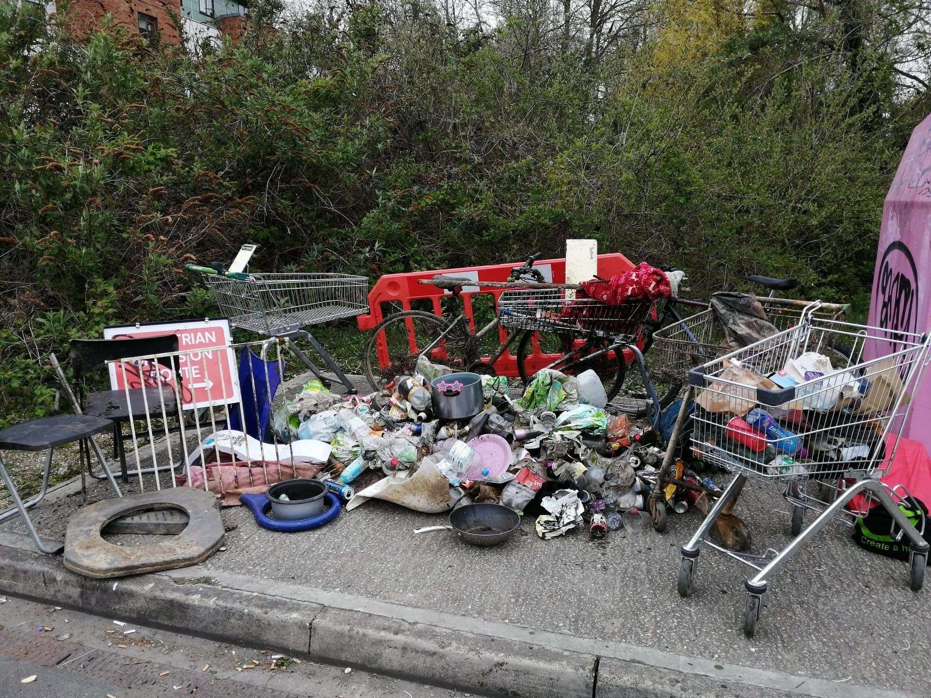 Just a fraction of the rubbish pulled out of the Stour