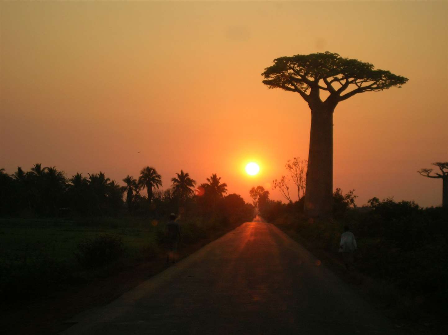 Sunrise in Madagascar (Association Vahatra)