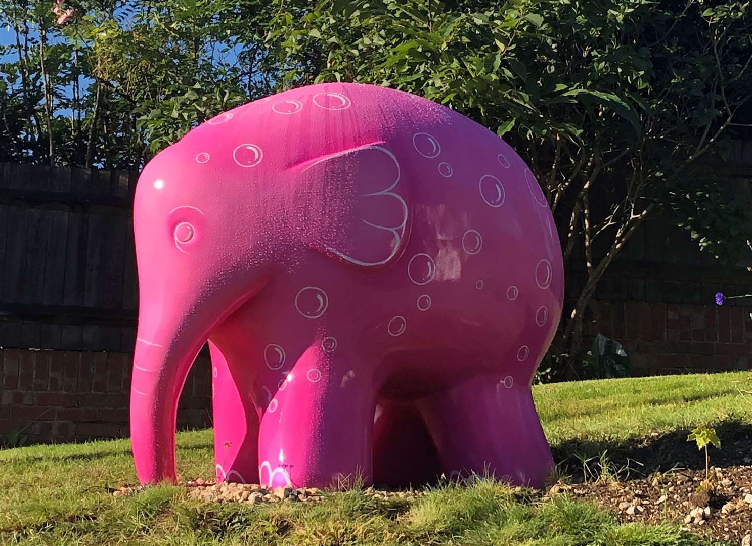 Mr McKee supported the Elmer trail in Maidstone last year