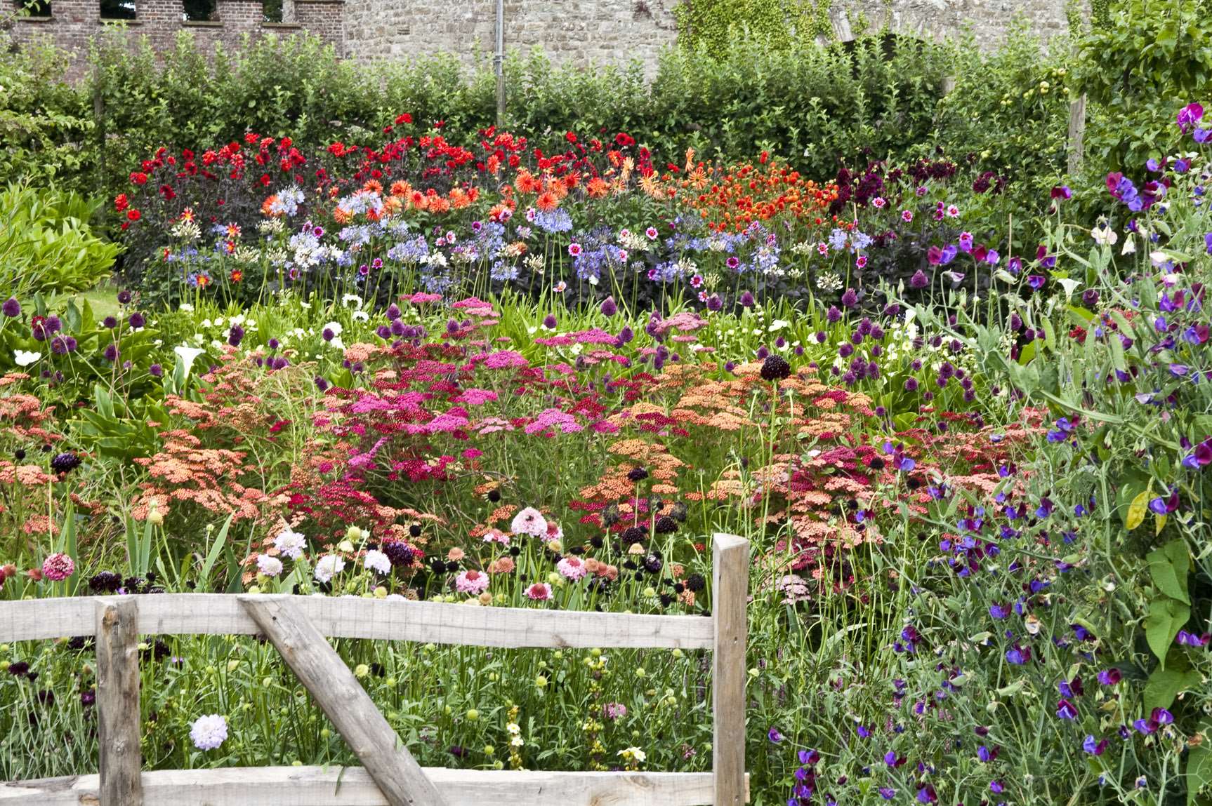 Download What flowers are best for creating your own cutting garden?
