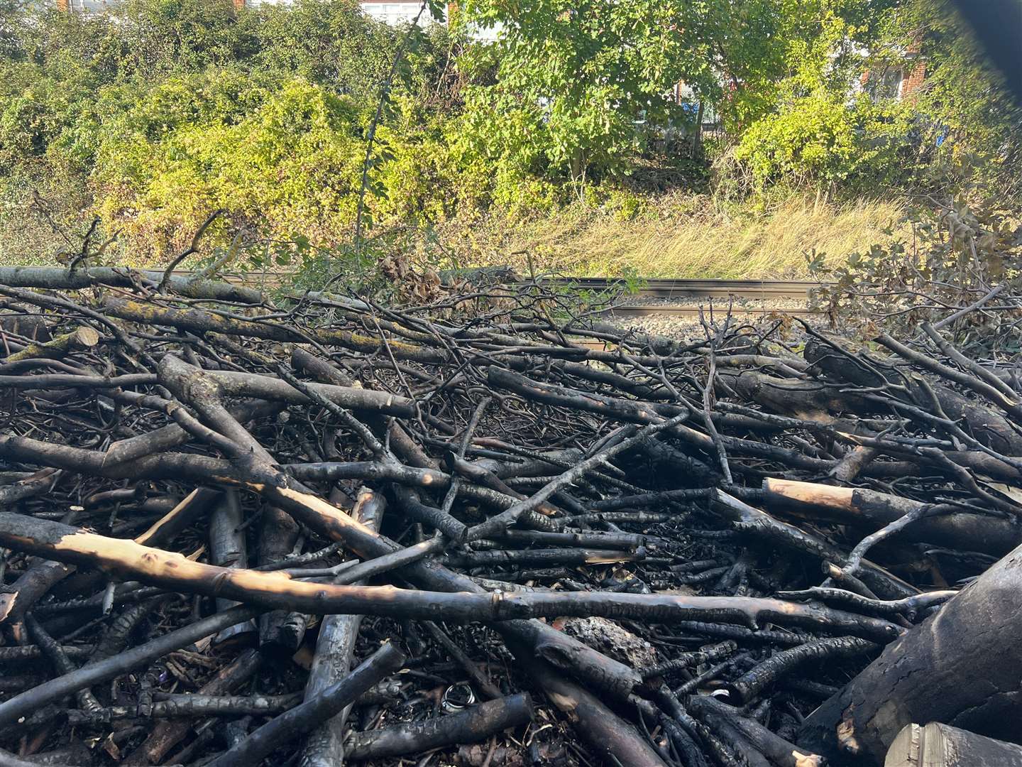 The fire on Thursday, September 22, started on tree cuttings and foliage on Southeastern land next to the alleyway by Coombe Drive